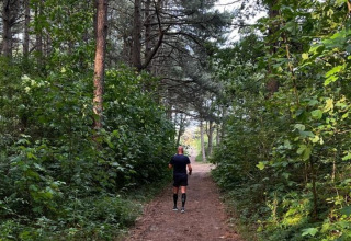 En person går gennem en grøn skovsti ved Camping Le Roptai, et højdepunkt i Namur, Belgien.