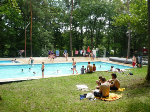Campistas disfrutando de la piscina rodeada de árboles en Camping Le Roptai, Namur, Bélgica.