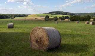 Pacas redondas de heno en un campo verde cerca de Ave-et-Auffe, Namur, Bélgica, bajo un cielo azul.