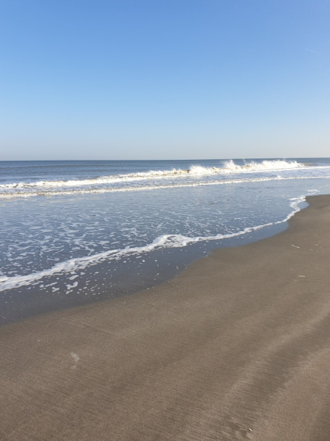 Playa tranquila de arena y olas suaves en Minicamping Hofstede Zonnevliet en Zeeland, Países Bajos.