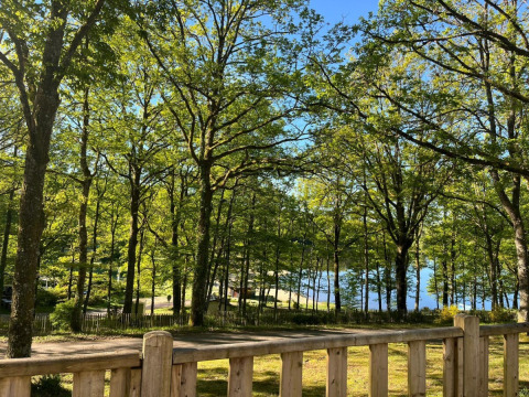 Vista della foresta e di un lago tra gli alberi da un terrazzo in legno al Camping Montard, Nouvelle-Aquitaine, Francia.
