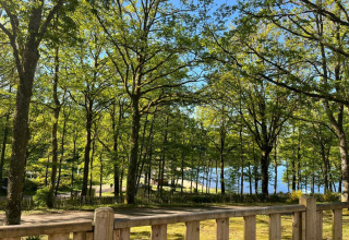 Vista della foresta e di un lago tra gli alberi da un terrazzo in legno al Camping Montard, Nouvelle-Aquitaine, Francia.