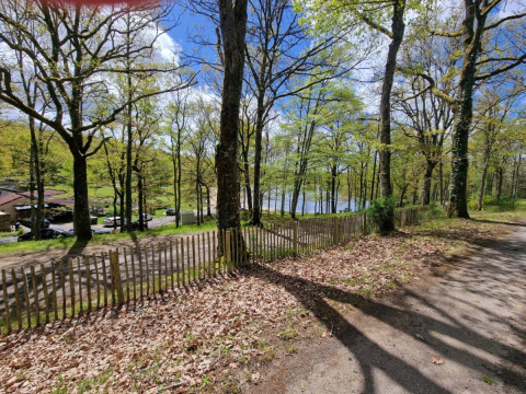 Vista su area boschiva con alberi verdi e lago al Camping Montard, villaggio vacanze in Nouvelle-Aquitaine, Francia.