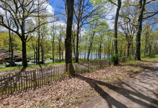 Vue sur une zone boisée avec arbres verts et lac au Camping Montard, parc de vacances en Nouvelle-Aquitaine, France.