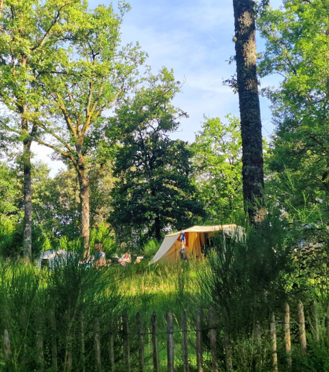 Tent campsite in a lush forest at Camping Montard, Nouvelle-Aquitaine, France, with trees and a wooden fence.