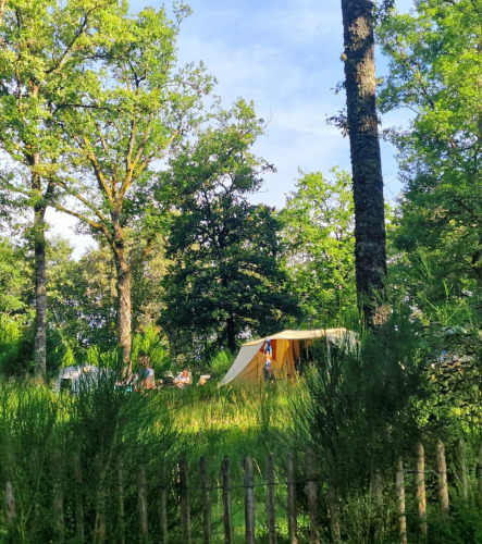 Tentplaats in groen bos bij Camping Montard, Nouvelle-Aquitaine, Frankrijk, met bomen en houten omheining.