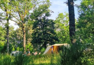 Tentplaats in groen bos bij Camping Montard, Nouvelle-Aquitaine, Frankrijk, met bomen en houten omheining.