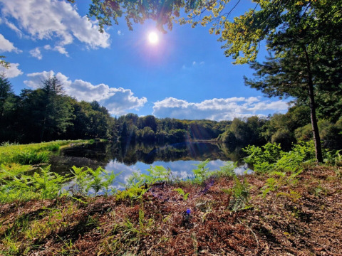 Giornata soleggiata presso un lago tranquillo circondato dagli alberi a Camping Montard, Nouvelle-Aquitania, Francia.