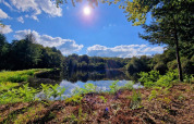 Solrig dag ved en fredelig sø omgivet af grønne træer i Camping Montard, Nouvelle-Aquitaine, Frankrig.