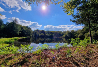 Zonnige dag bij een rustig meer omgeven door groene bomen op Camping Montard, Nouvelle-Aquitaine, Frankrijk.