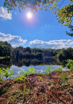 Día soleado junto a un lago tranquilo rodeado de árboles verdes en Camping Montard, Nouvelle-Aquitania, Francia.