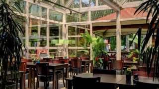 Luminoso comedor con ventanales grandes y plantas en Camping Kempen, parque vacacional de Amberes, Bélgica.