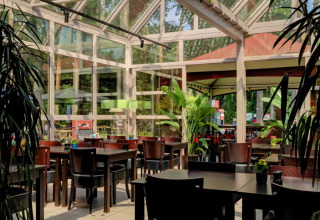 Bright, spacious dining area with glass walls and lush plants at Camping Kempen holiday park in Antwerp, Belgium.