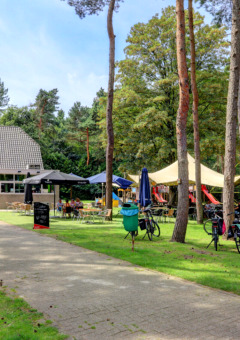 Holiday park with café, bicycles, and playground surrounded by trees at Camping Kempen, Antwerp, Belgium.