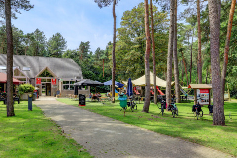 Parco vacanze con caffetteria, biciclette e area giochi tra gli alberi a Camping Kempen, Anversa, Belgio.