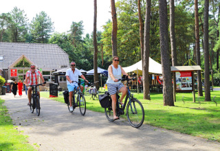 Folk cykler gennem et grønt område ved Camping Kempen feriepark i Antwerpen, Belgien, omgivet af træer.