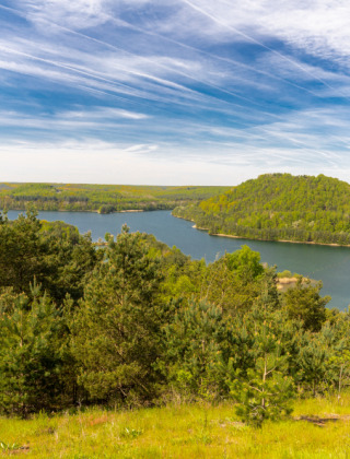 Vista de frondosos bosques y un río pintoresco cerca de Lichtaart, Amberes, Bélgica, bajo un cielo azul.