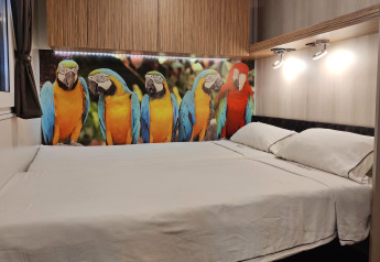 Slaapkamer in SunLodge Katsura met dubbel bed, houten kasten en een vrolijk papegaaienmuur aan het hoofdeinde.