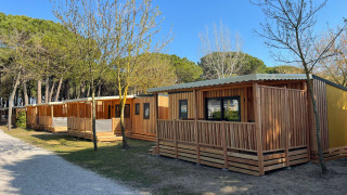 Lodge in legno con veranda al SunLodge Babul, circondati da alberi e cielo blu, ideali per una vacanza.