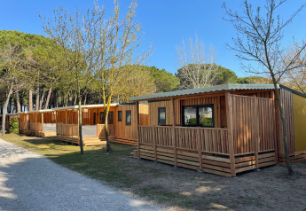 Houten lodges met terras bij SunLodge Babul, te midden van bomen en blauwe lucht, ideaal voor vakantie.