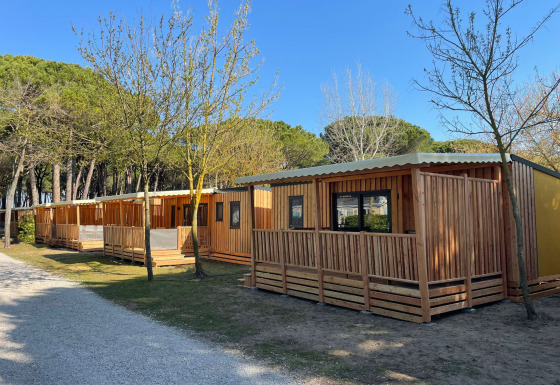 Chalets en bois avec terrasse au SunLodge Babul, entourés d’arbres et de ciel bleu, parfaits pour se détendre.
