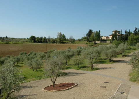 Uitzicht op olijfgaarden en platteland bij Agricamping Romita, een vakantiepark in Toscane, Italië.