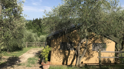 Cabin among olive trees at Agricamping Romita in Tuscany, Italy, surrounded by nature and peaceful scenery.