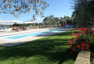 Piscina al aire libre con tumbonas, sombrillas y flores en Agricamping Romita en la Toscana, Italia.