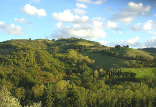 Bakket landskab nær Monteciccardo i Marche, Italien, med grønne bakker og spredte træer under blå himmel.
