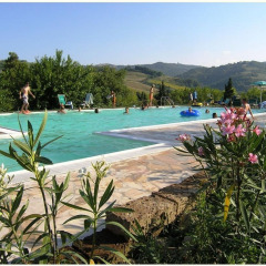 Vakantiegangers ontspannen aan het zwembad met heuvelzicht op Camping Podere sei Poorte, Marche, Italië.