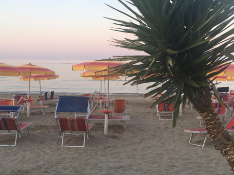 Beach with sun loungers, colorful umbrellas, and a palm tree at Camping Mar y Sierra, Marche, Italy.