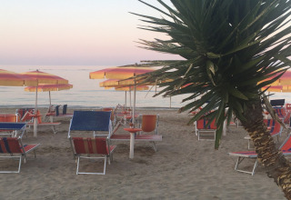 Beach with sun loungers, colorful umbrellas, and a palm tree at Camping Mar y Sierra, Marche, Italy.