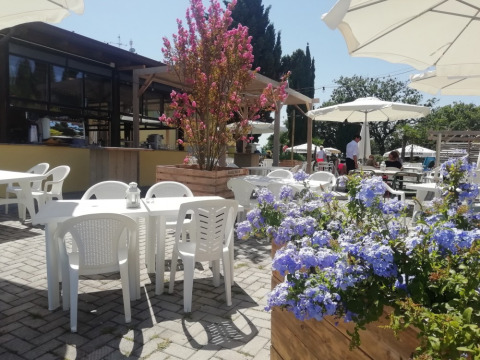 Udendørs caféområde på Camping Mar y Sierra i Marche, Italien, med hvide parasoller og blomster.