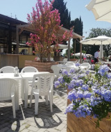 Espace café en plein air au Camping Mar y Sierra, Marche, Italie, avec parasols blancs et fleurs colorées.