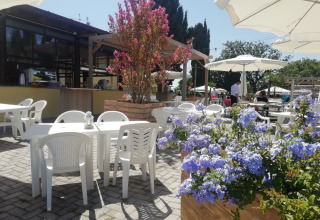 Buitencafé op Camping Mar y Sierra in Marche, Italië, met witte parasols en kleurrijke bloemen.