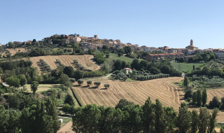 Blick auf Stacciola in den Marken, Italien, mit sanften Feldern, grünen Hügeln und historischen Gebäuden.