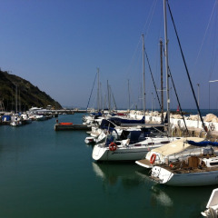 Barche a vela e yacht ormeggiati in un porto tranquillo vicino a Pesaro, Marche, Italia, in una giornata di sole.