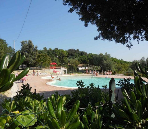 Camping Paradiso in Marche, Italy, showing people relaxing by a pool surrounded by greenery and trees.