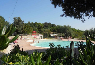 Camping Paradiso in Marche, Italy, showing people relaxing by a pool surrounded by greenery and trees.