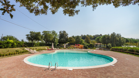 Piscina all’aperto al Camping Paradiso nelle Marche, Italia, circondata dal verde e lettini prendisole.