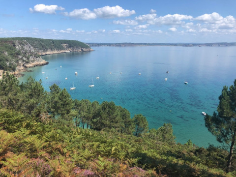 Vista al mar azul claro, veleros y árboles desde el Camping de Kerleyou en Bretaña, Francia.
