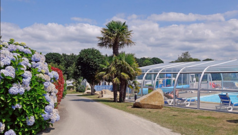 Sti med blomster og palmer ved siden af et overdækket poolområde på Camping de Kerleyou i Bretagne, Frankrig.