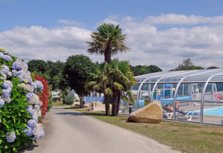 Sentiero con cespugli fioriti e palme accanto a una piscina coperta al Camping de Kerleyou, Bretagna, Francia.