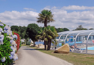 Viale al Camping de Kerleyou, Bretagna, con palme, fiori colorati e piscina coperta con persone rilassate.