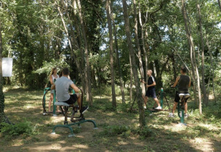 Fire personer bruger udendørs fitnessudstyr blandt træerne på en solrig dag i Camping Saint Amand.