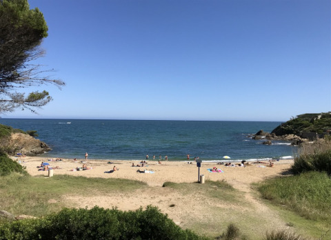 Vista de playa de arena y mar azul en Camping Les Lauriers Roses en Provence-Alpes-Côte d’Azur, Francia.