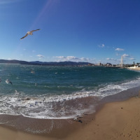Panoramisk udsigt over sandstrand, hav, måger og byens skyline nær Fréjus i Provence-Alpes-Côte d’Azur, Frankrig.