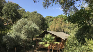 Tienda safari con instalaciones sanitarias rodeada de árboles en Camping Les Lauriers Roses, Francia.