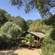 Safari-telt med sanitære faciliteter omgivet af grøn vegetation på Camping Les Lauriers Roses i Frankrig.
