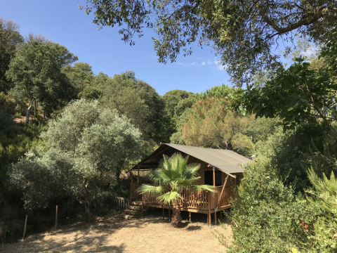 Tenda safari con servizi igienici circondata dal verde al Camping Les Lauriers Roses in Francia.